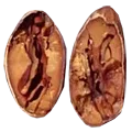 porcelana seed