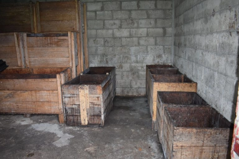 Porcelana cocoa fermentation process in wooden boxes
