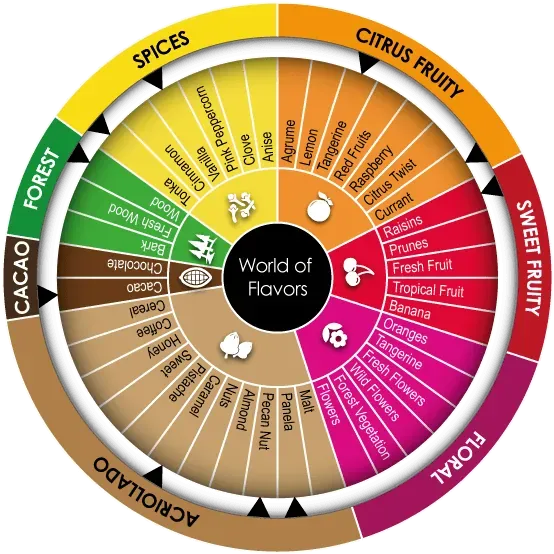 Cocoa flavor wheel showing Porcelana characteristic caramelized nut notes